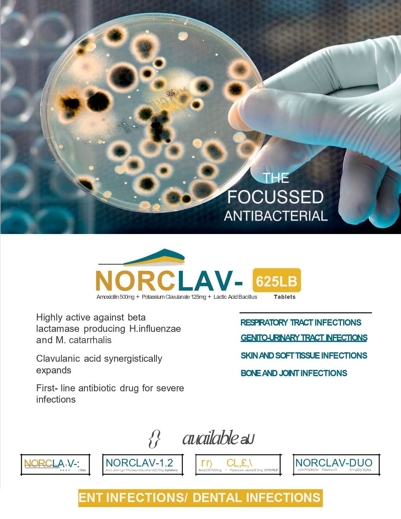 Norclav-1.2