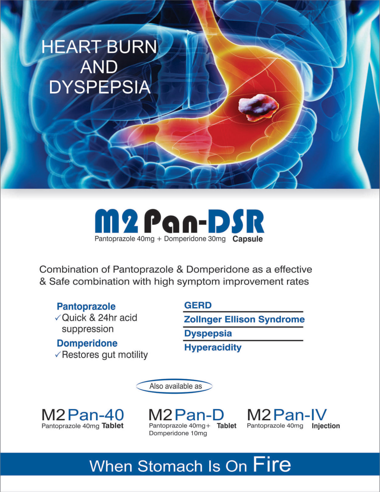 M2Pan-40