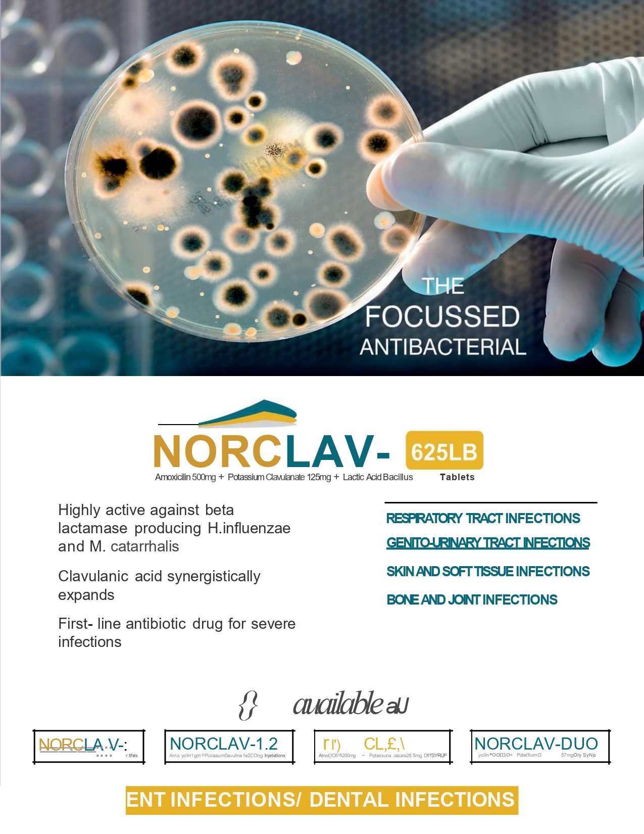 Norclav-625 LB