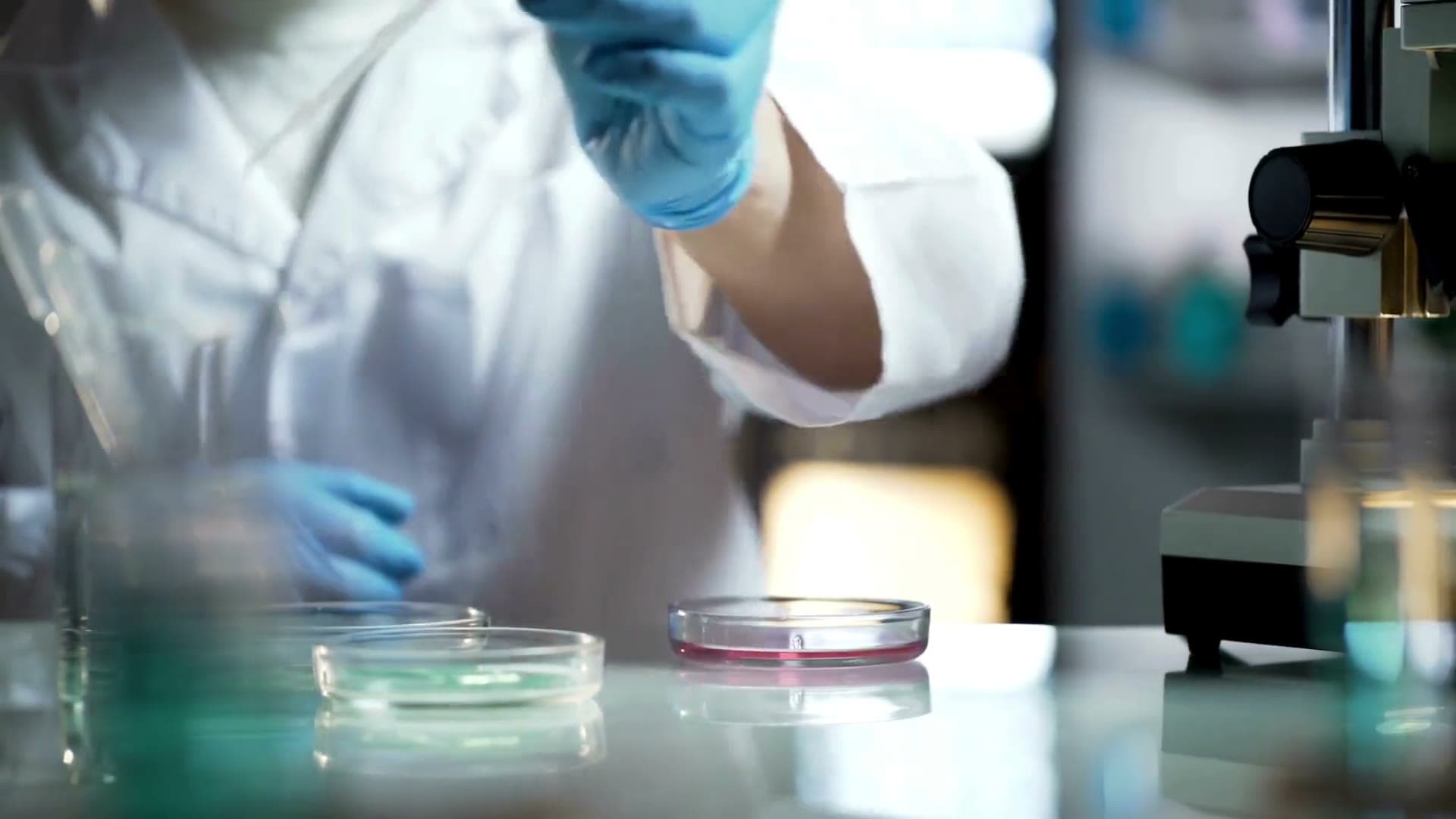 Quality control in the laboratory