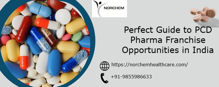 citriclabs | Perfect Guide to PCD Pharma Franchise Opportunities in India
