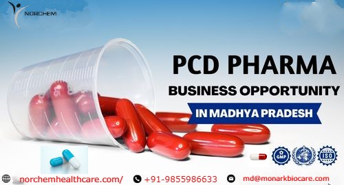 citriclabs | Top PCD Pharma Franchise in Madhya Pradesh: Norchem Healthcare